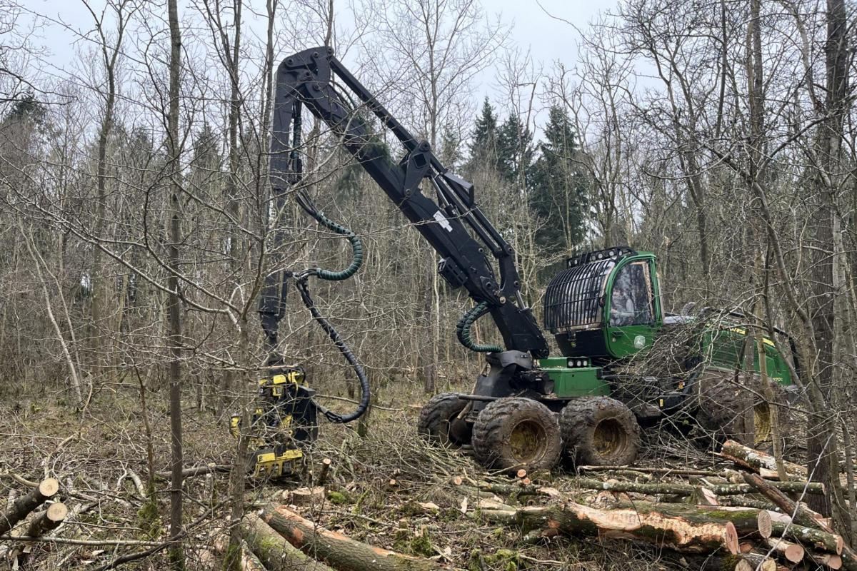 Blenheim Estate steps up to help hurling amid wood shortage