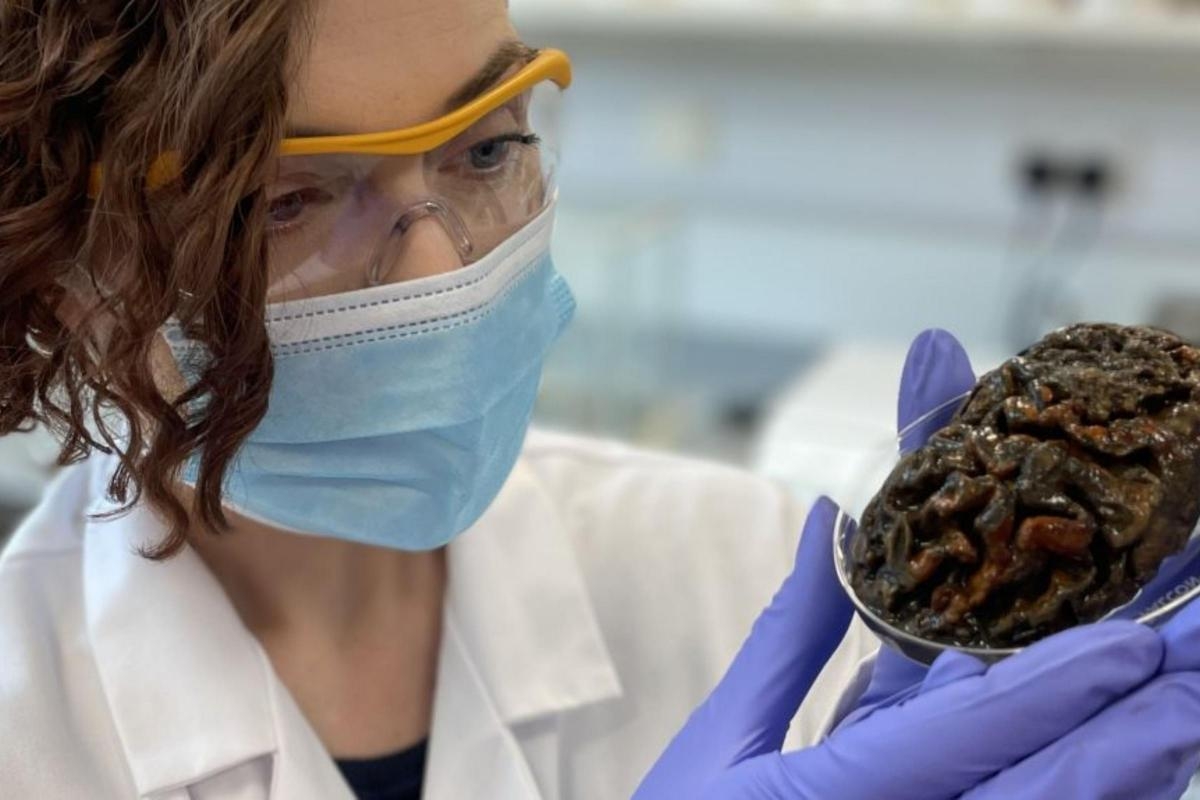 New method provides key to accessing proteins in ancient human remains