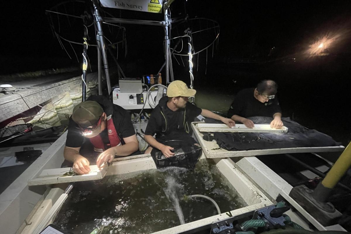 Electric boat used for fish surveys on River Thames