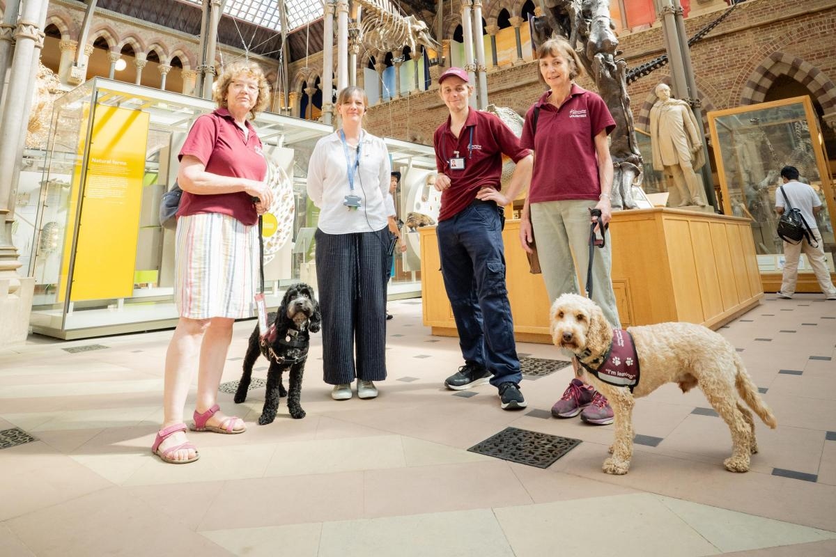 Puppies come face-to-face with dinosaur at Oxford museum