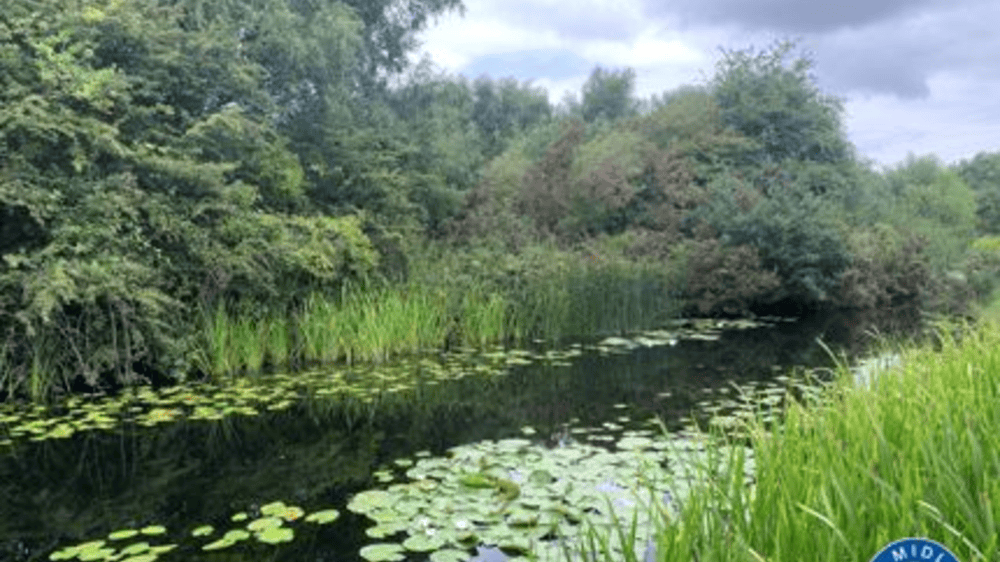 £10,000 reward for information about alleged murder of newborn found in canal