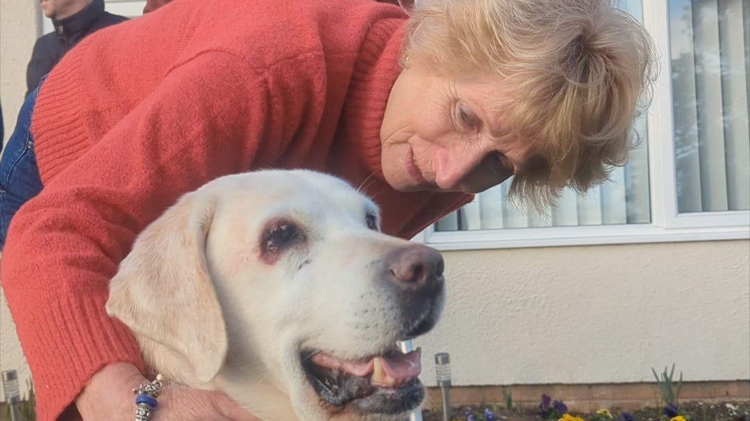 Couple reunited with dog stolen more than seven years ago in ‘dream come true'