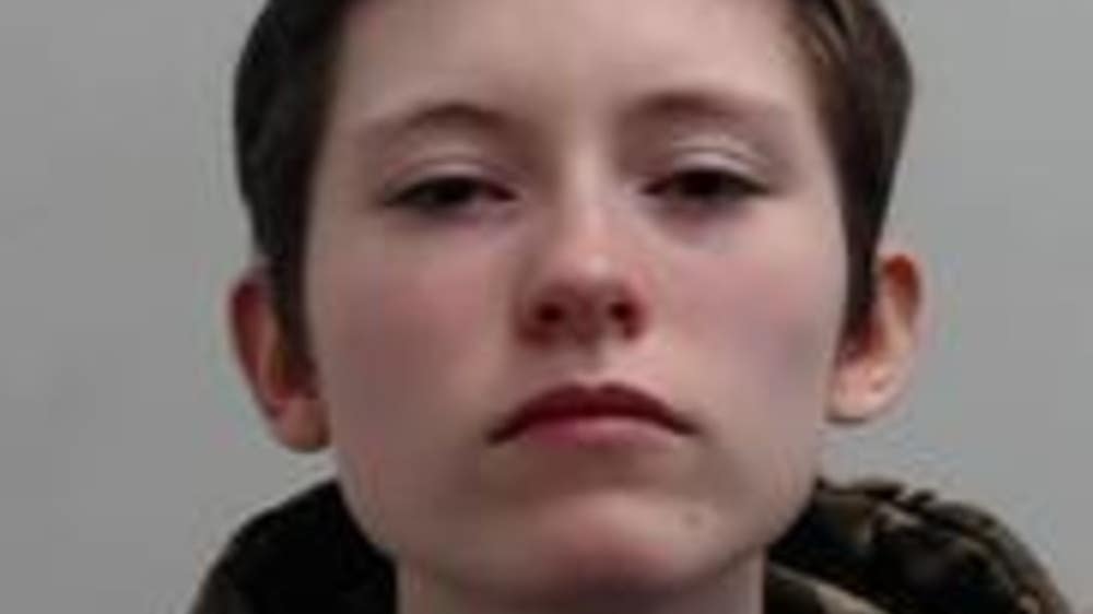 Teenager jailed for school shooting fantasy inspired by Columbine massacre