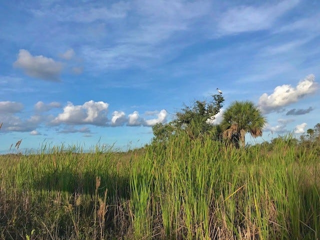 Florida state parks bill stalls as lawmakers focus on budget, other battles