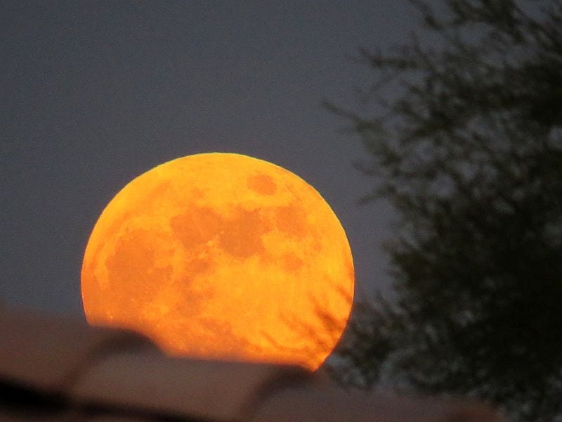 Don't miss June's full moon. Best Florida viewing of rare 'Major lunar standstill'