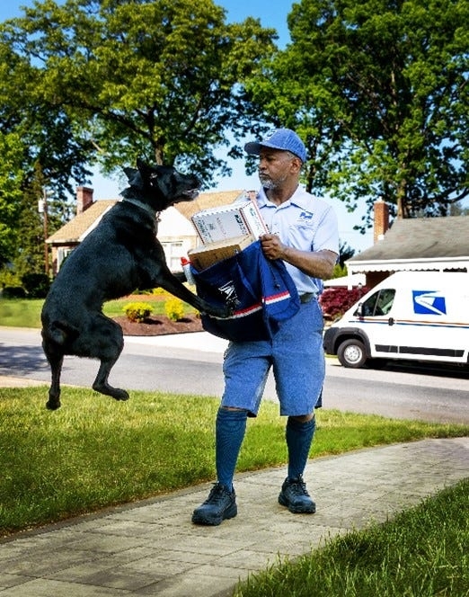 USPS lists states with the most dog attacks against mail carriers. Where did Florida rank?