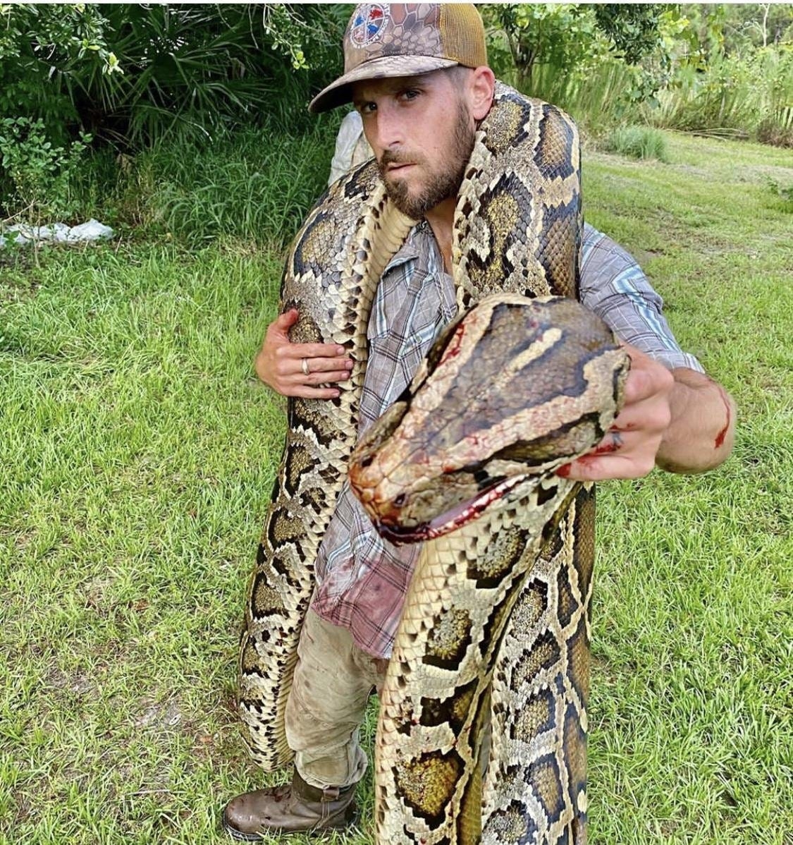 Python 'hot spot' identified in Palm Beach County by University of Florida study