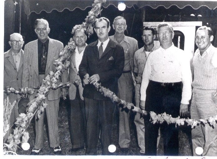 The flower at the root of The Delray Affair once filled 1,600 acres of farmland