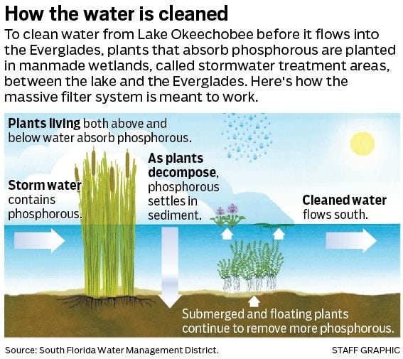 What are STAs and FEBs? They are crucial for Everglades restoration