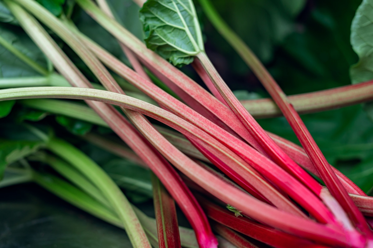 All About Rhubarb, the Striking Veggie (Really!) That's a Sign of Spring