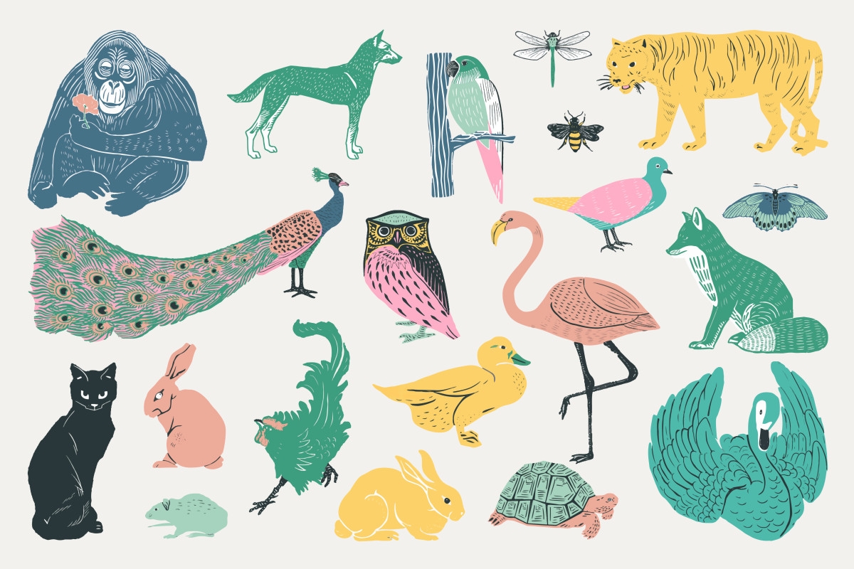 Your Animal Spirit Guide, Based on Your Birth Month