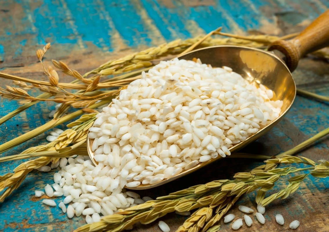 You Won't Believe the Unexpected 'Pests' Destroying Rice Crops in Italy