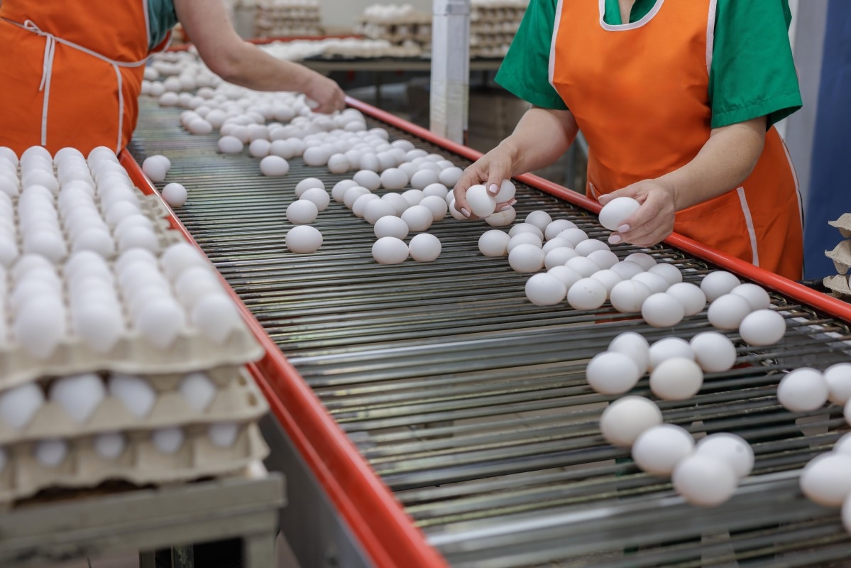 Millions of Eggs Were Just Recalled due to Connection With Salmonella Outbreak—Here's What to Know