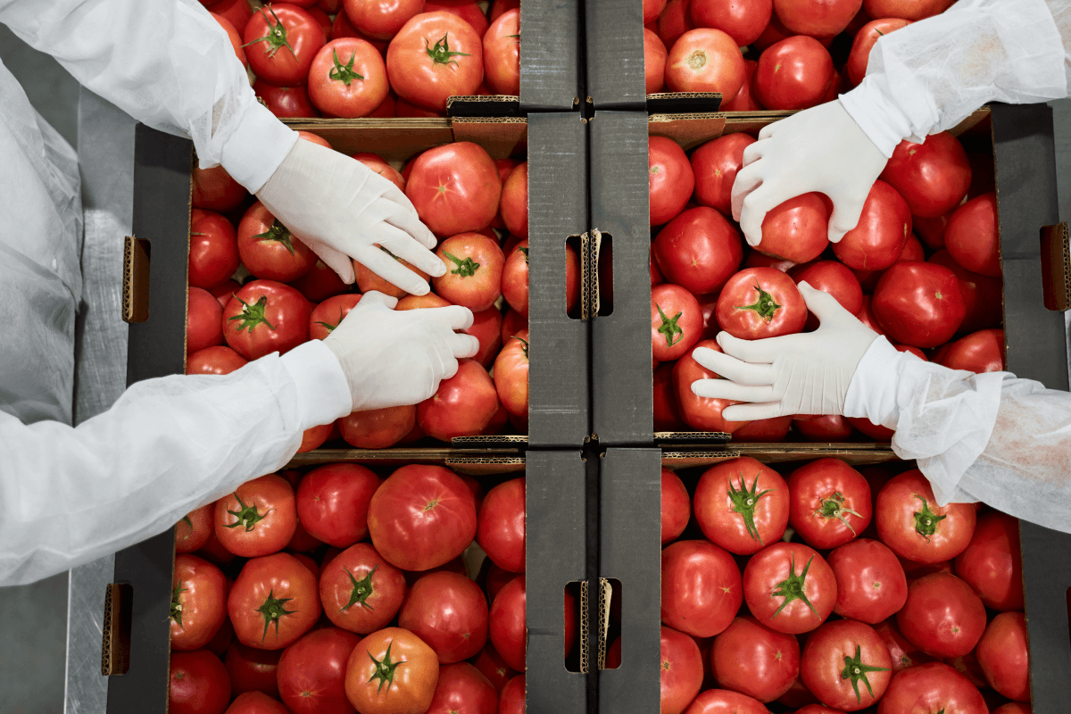 The FDA Just Updated a Recall on This Popular Summer Produce To Its Highest Classification—Here's What to Know