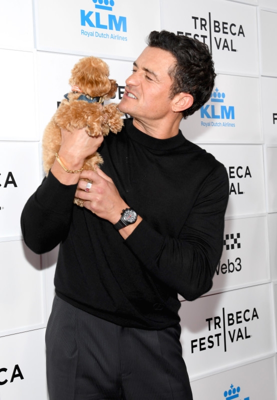 Hollywood Hunk, 48, Brings Unsuspecting Date for Latest Red Carpet Appearance