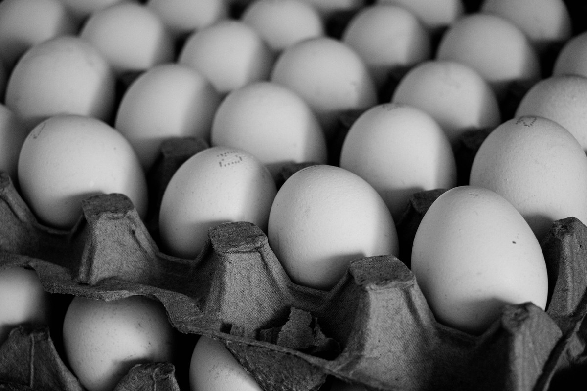 Egg Recall Outbreak Turns Fatal as Cases Climb Nationwide