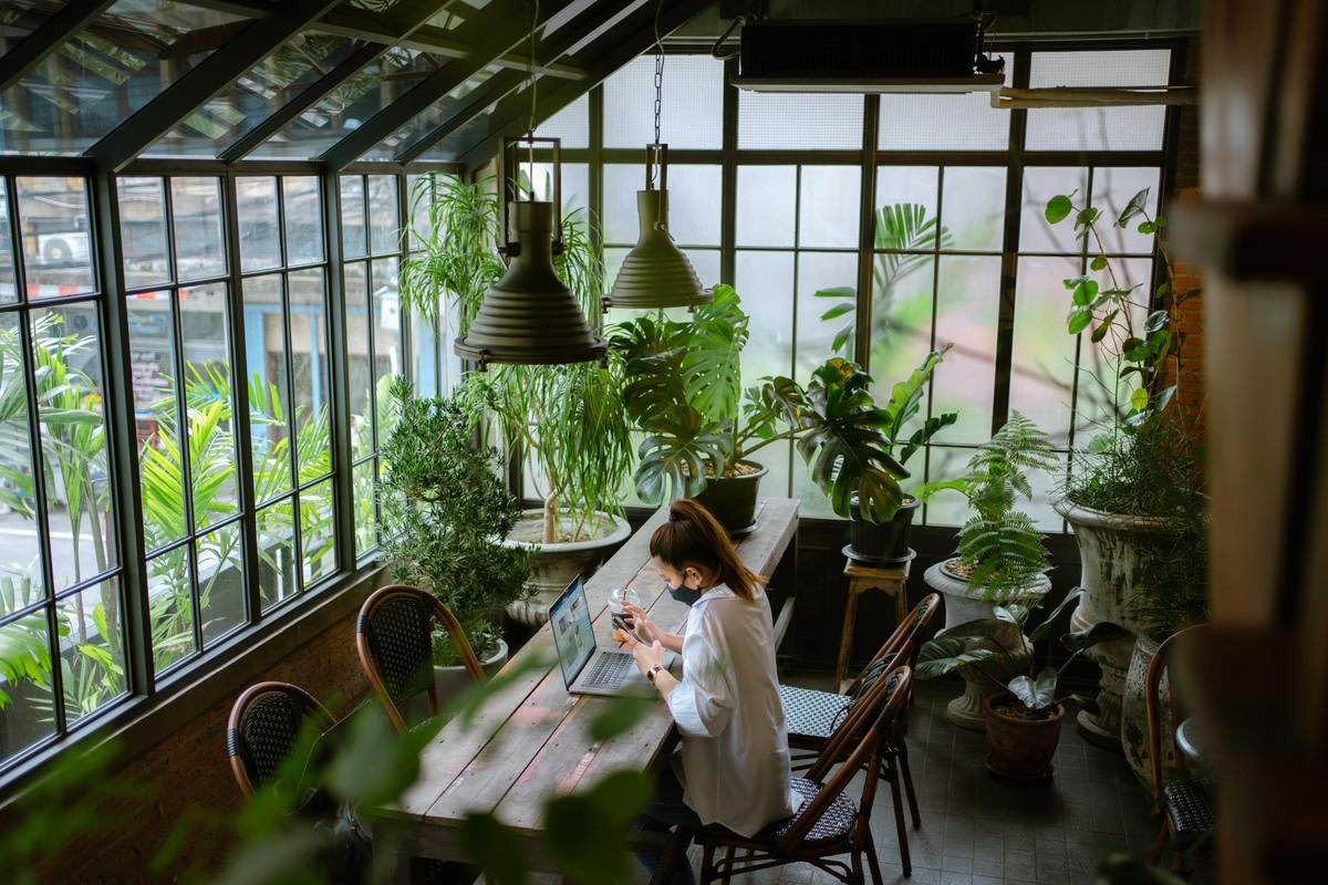 This Greenhouse-Turned-Study Space Is the Coziest Thing You'll See Today
