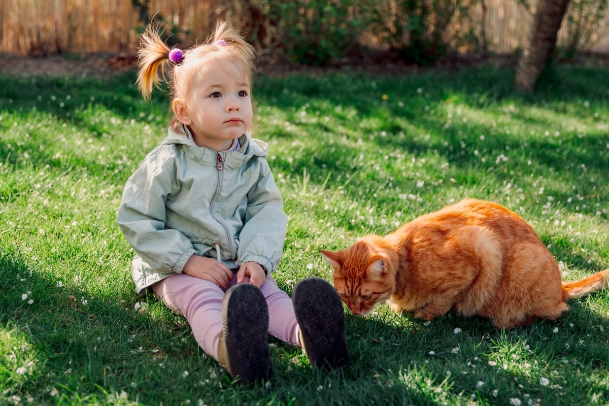 Tabby Cat Transforms Toddler's Hair Into Trendy Styles in Adorable Daily Ritual
