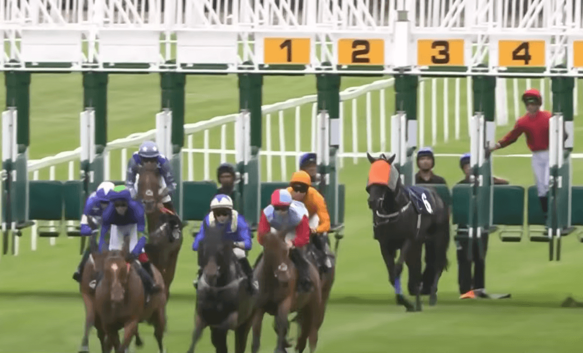 Five Jockeys Suspended After False Start At Windsor