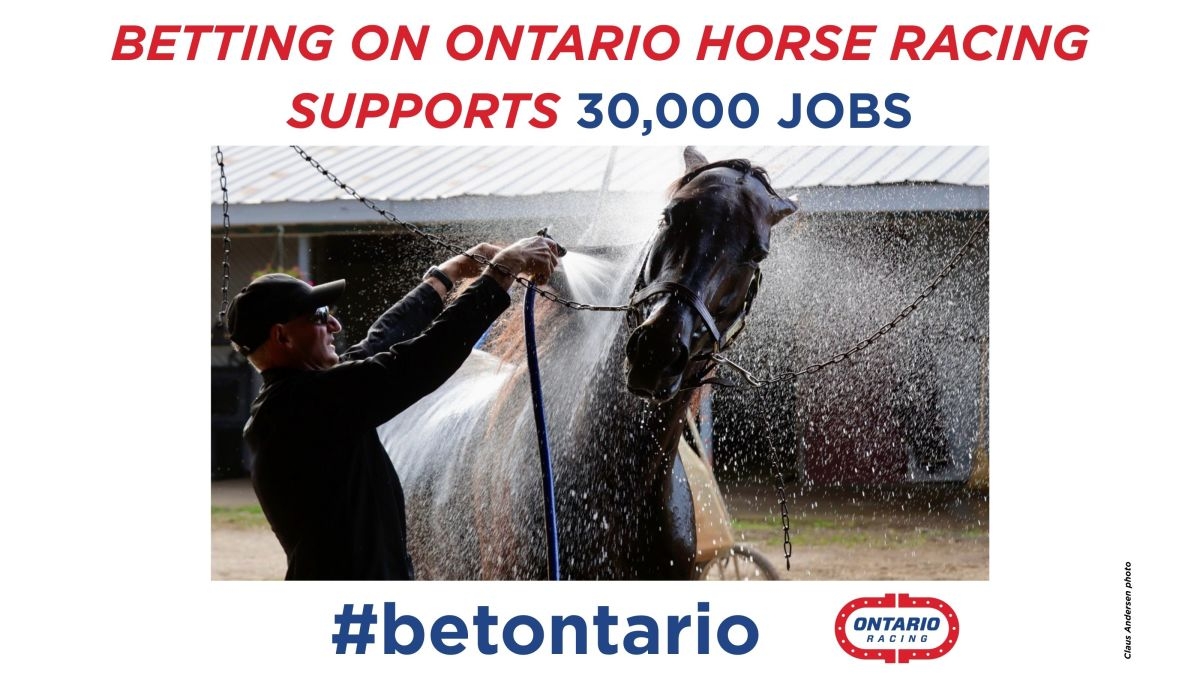 Bet Ontario: Decline In Home Wagering Leads To Decreased Funding For Critical Programs