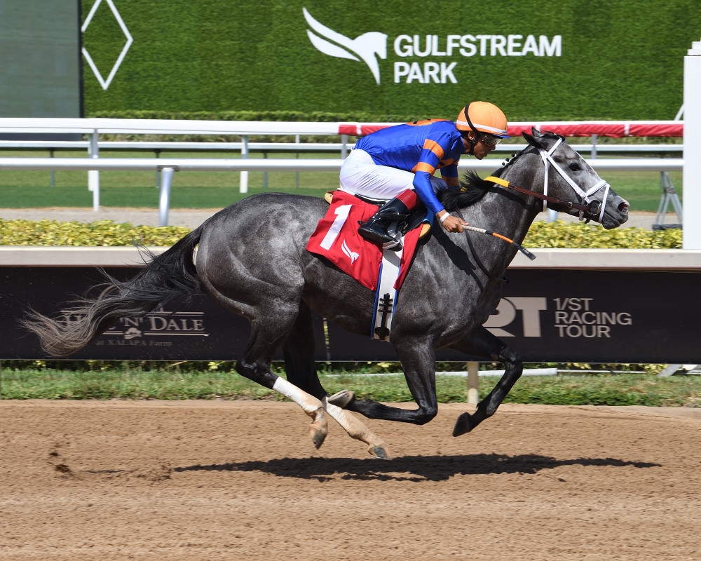 Haulin Ice Nears All-Time Arkansas-Bred Earnings Record