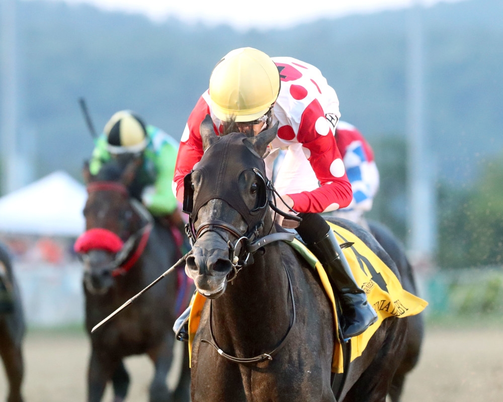 Chunk Of Gold Sparkles In Gate-To-Wire West Virginia Derby Romp