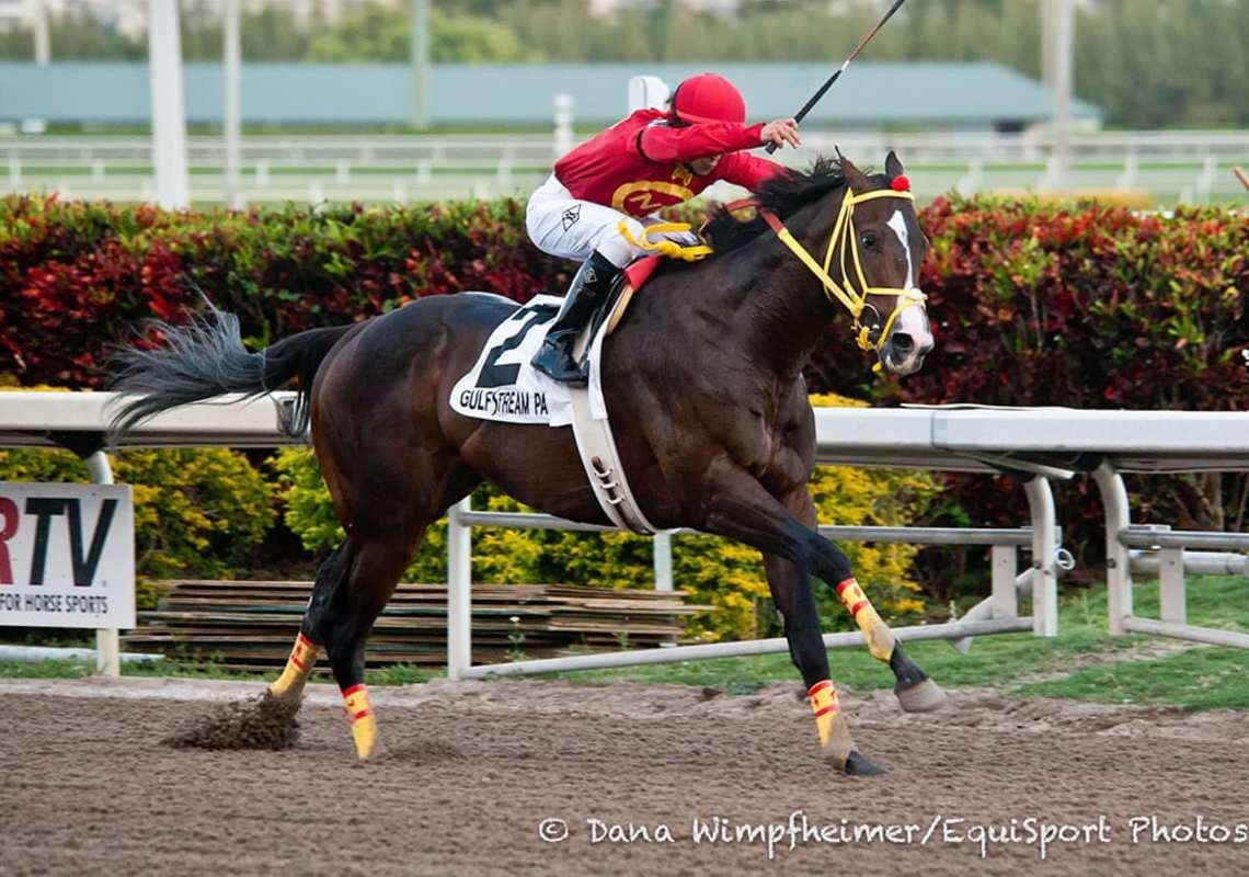 Breeders' Cup Winner Trinniberg Dies In Uruguay At 16