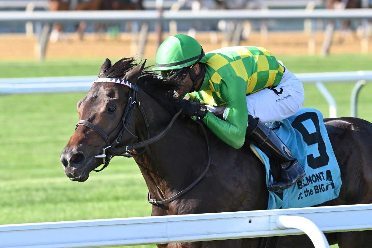 Donegal Momentum Aims For Graded Breakthrough In Poker