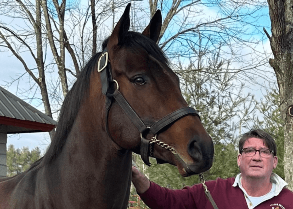 'This Guy Wants More Action': Once-Subfertile Preakness Winner Early Voting Offered For Free Foal-Share Matings In June