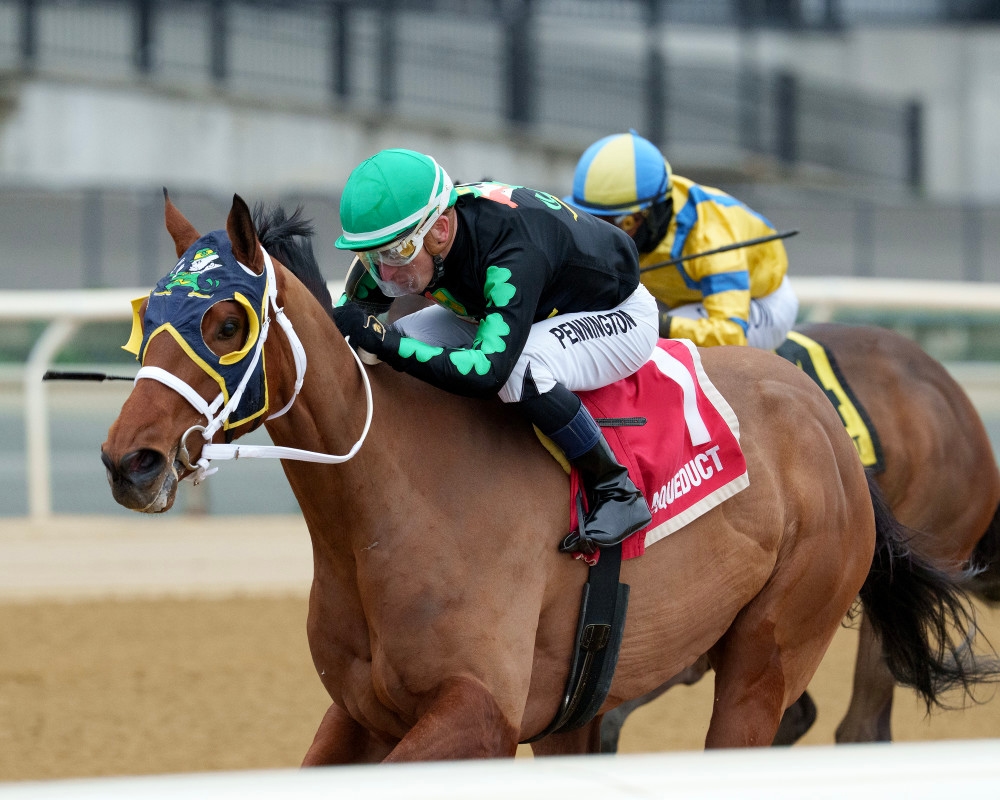 Irish Maxima To Try Turf In Ky Downs Preview Ladies Turf Sprint