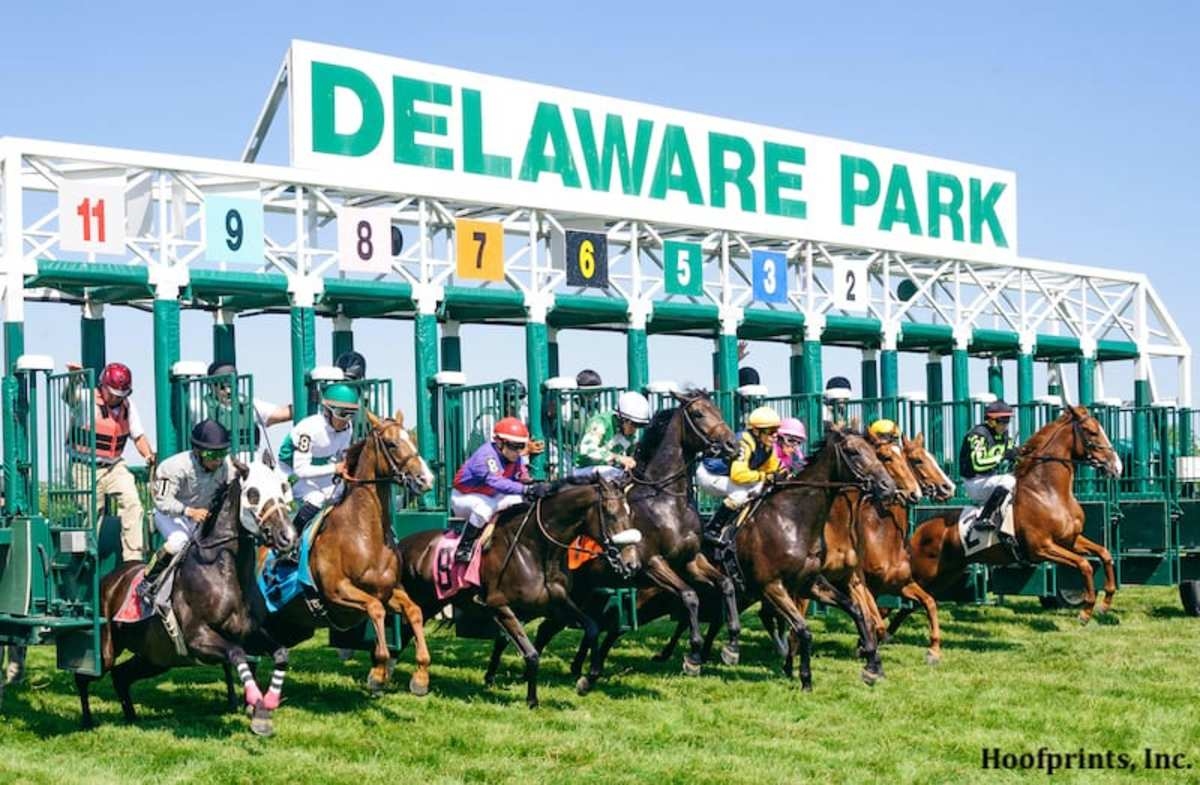 Delaware Commission Issues 30-Day Suspension For 'Hidden Ownership'