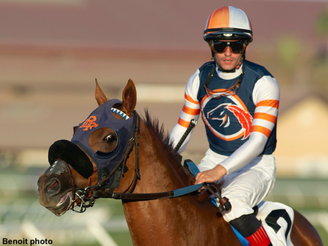 Grass Veteran Gold Phoenix Eyes Second Eddie Read Success