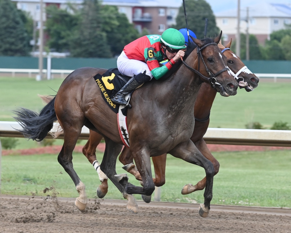 Unbeaten Juvenile Good Civilian Tops Inglis Digital USA July Sale