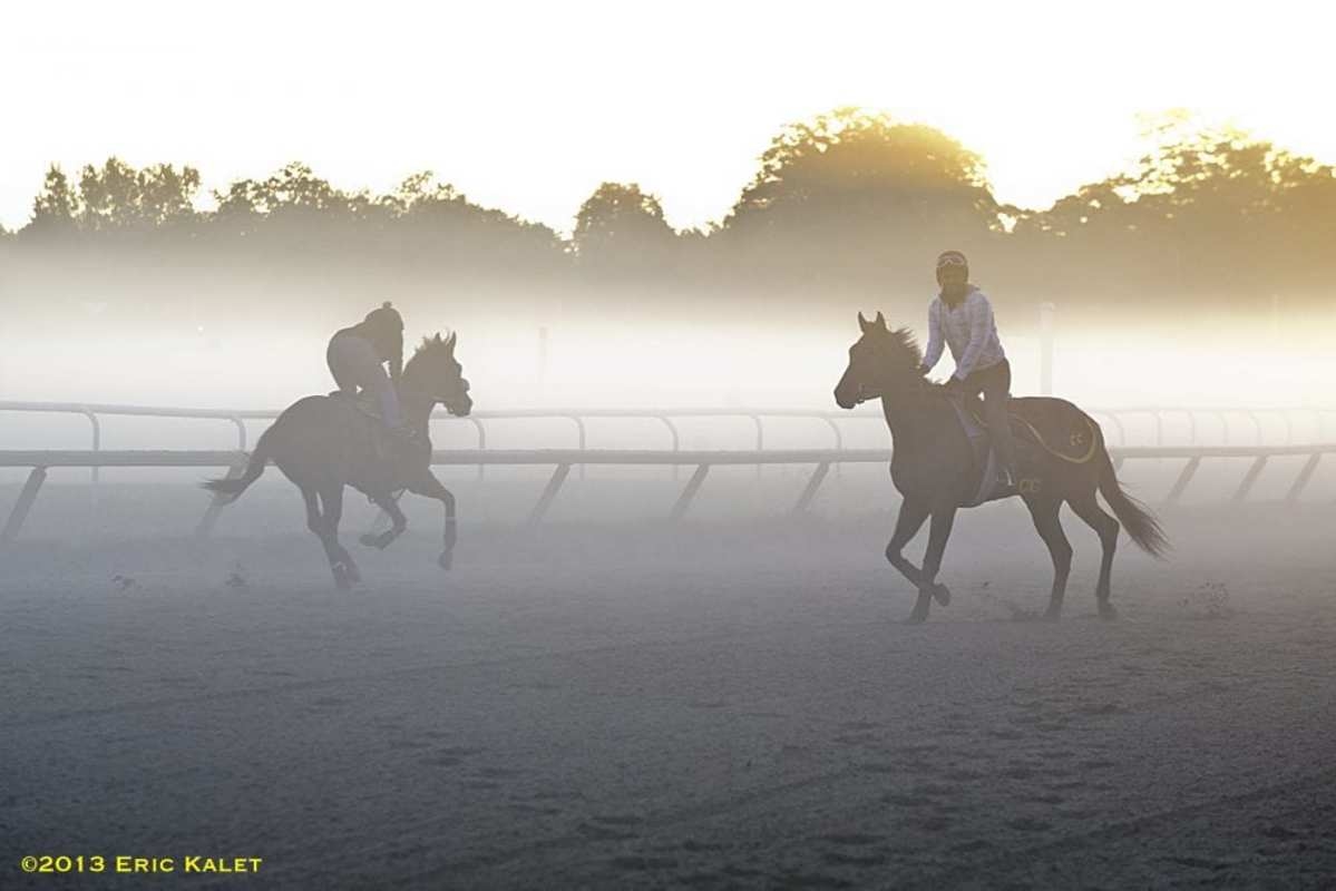 Precautionary Quarantine Lifted In Saratoga's Barn 28