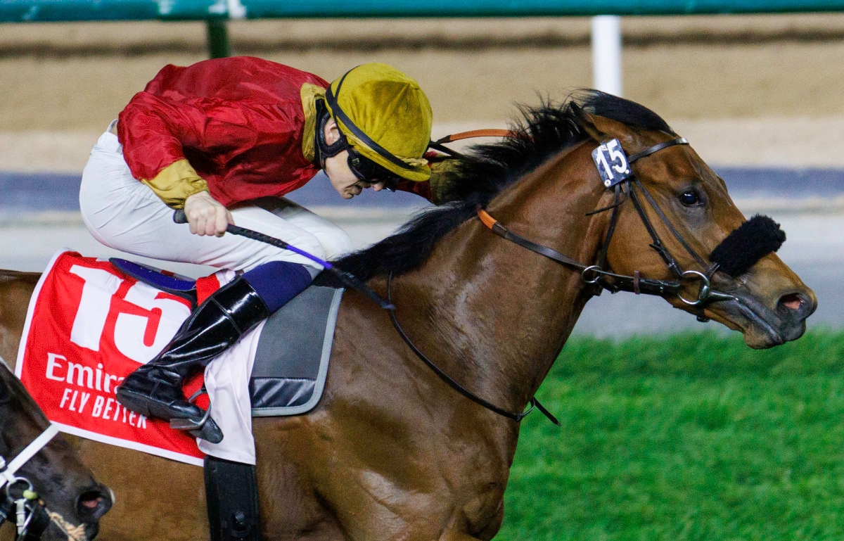 Track Record-Setting West Acre Has Breeders' Cup Aspirations Via Royal Ascot