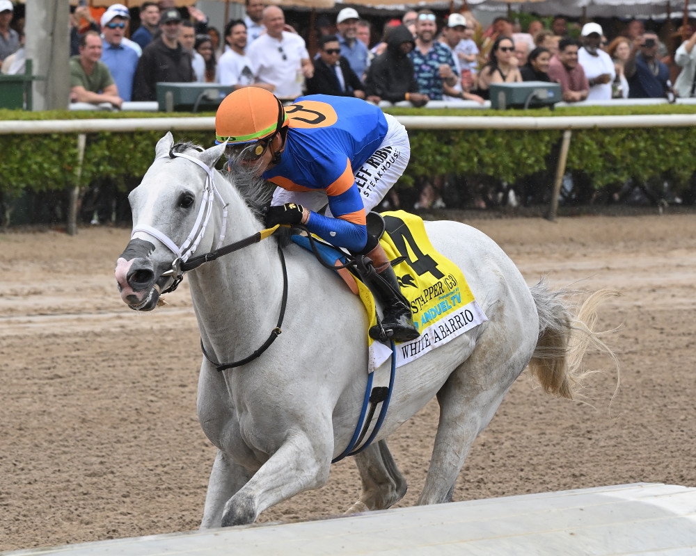 White Abarrio Stretches Legs At Saratoga With Eye Toward Met Mile