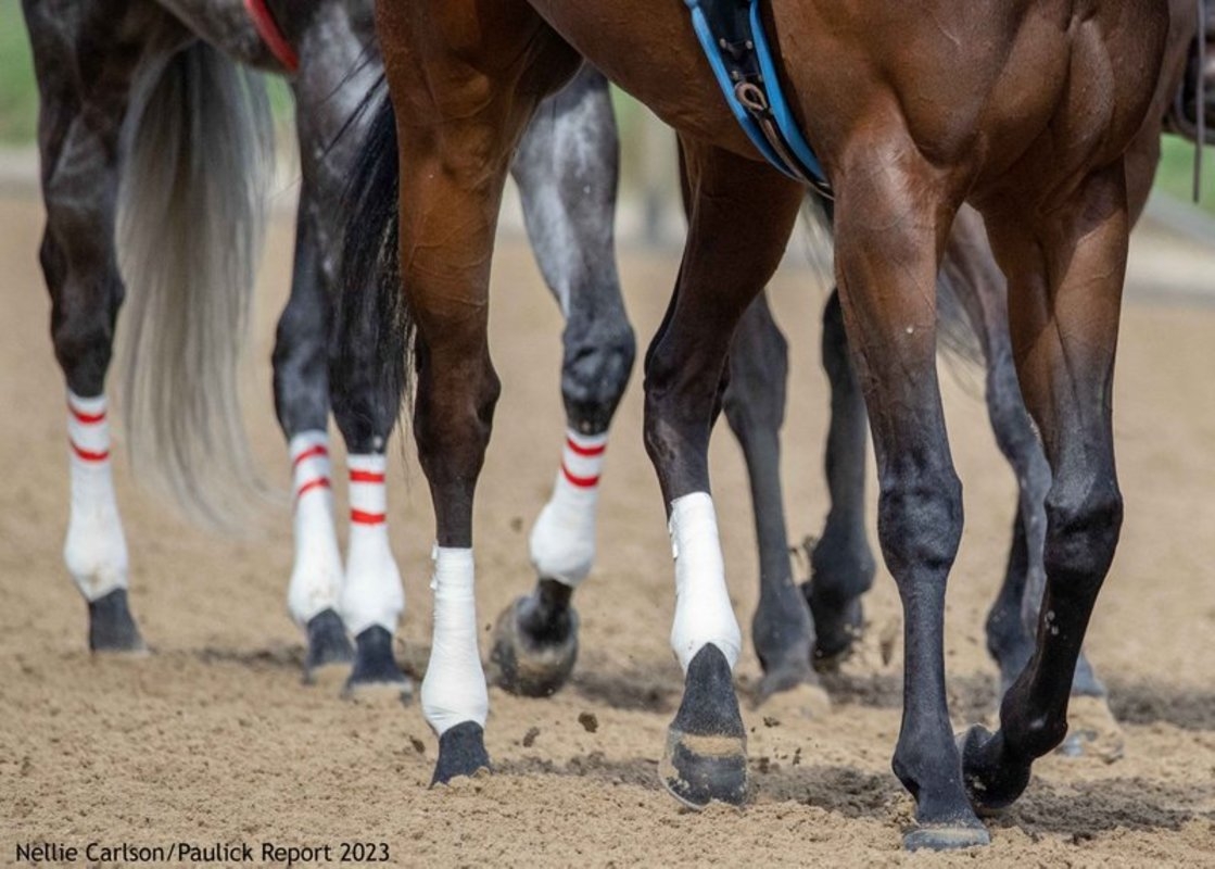 Racehorse Health And Safety Act Reintroduced; Legislation Designed To Replace HISA