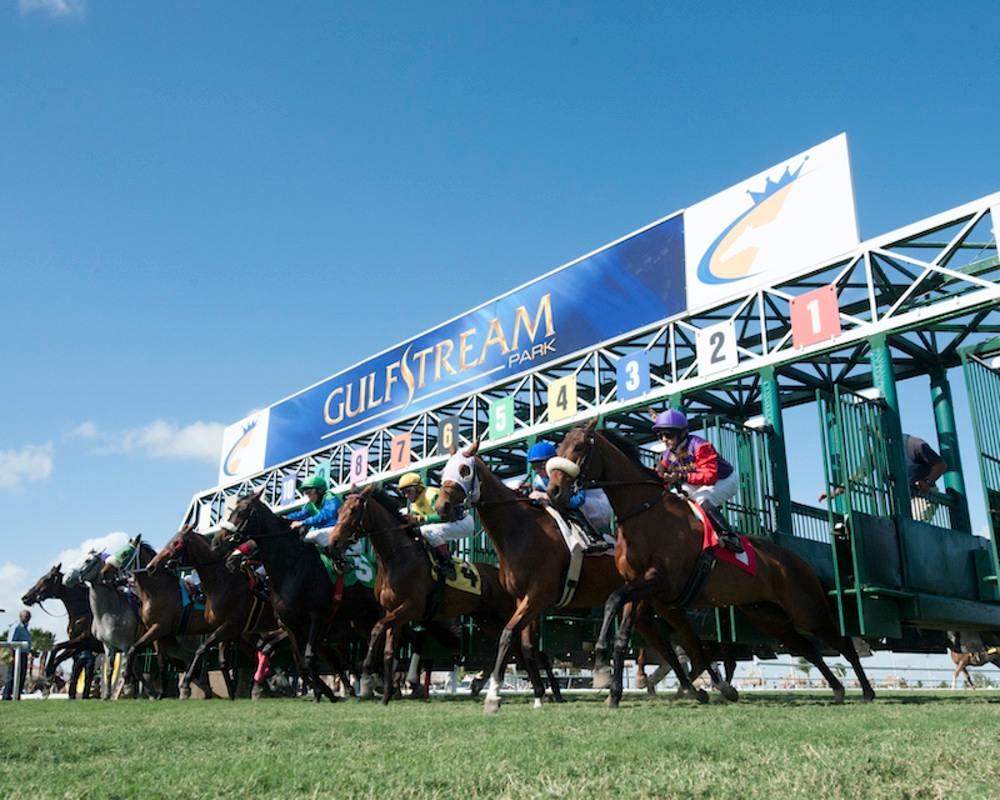 Gulfstream Park: Rainbow 6 Jackpot Pool Could Exceed $150,000 Sunday