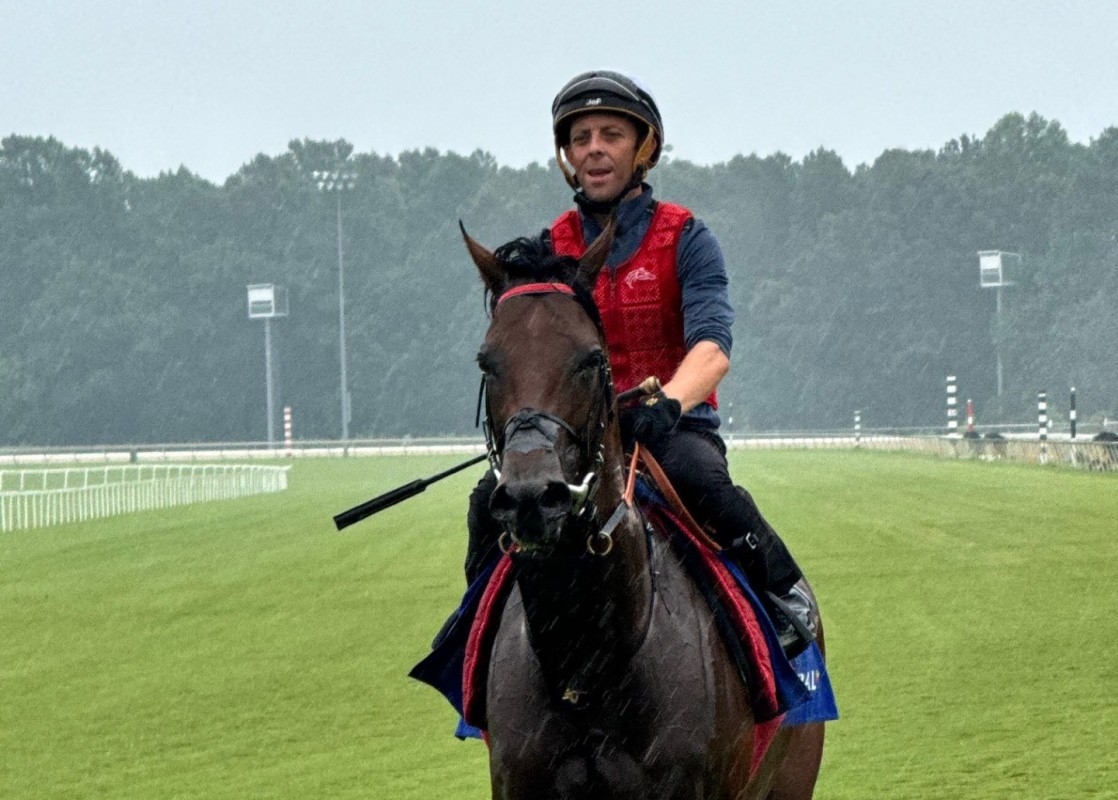 'Seasoned Traveler' Cairo Trains On Colonial Turf For Arlington Million