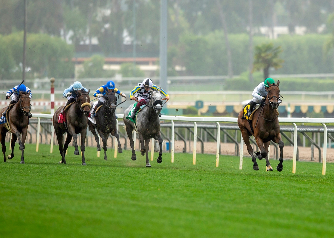 Mrs. Astor 'Relishes A Route Of Ground', Wins Santa Barbara