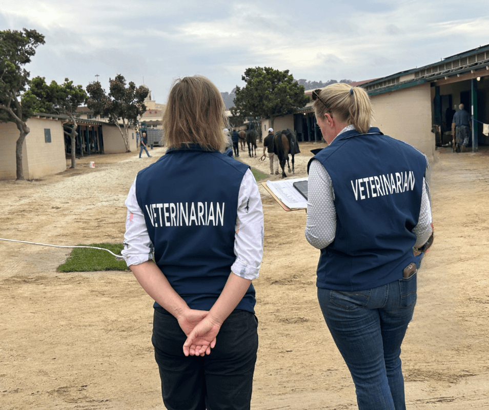 The Jockey Club Addresses Veterinary Shortage With New Fellowship