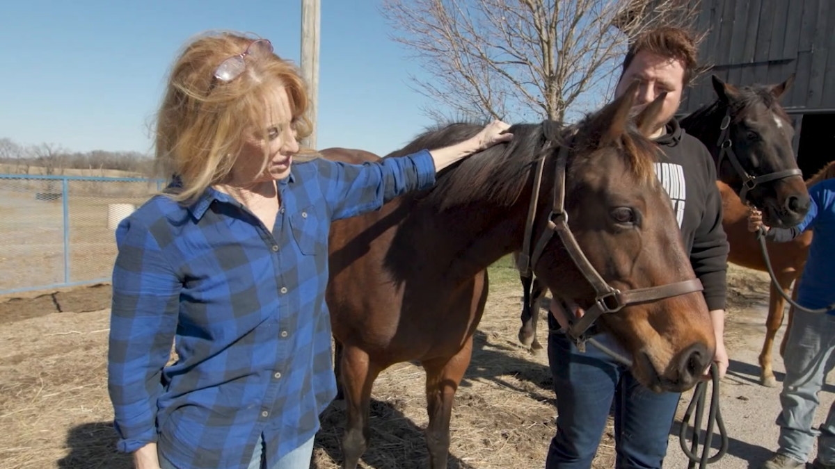 Sataves, Dam Of Thorpedo Anna, Named National Broodmare Of The Year