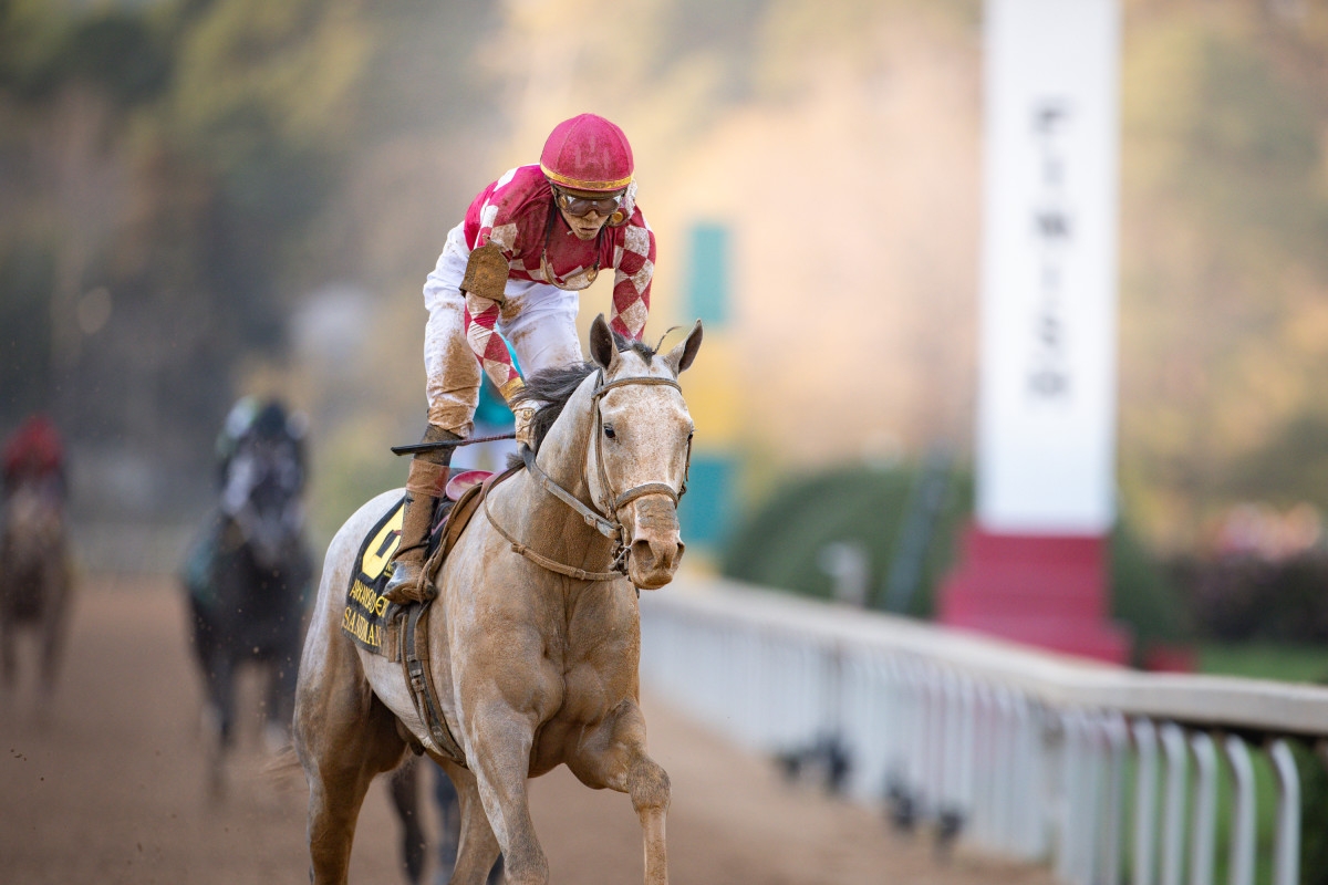 Sandman Headed To Pimlico For Preakness