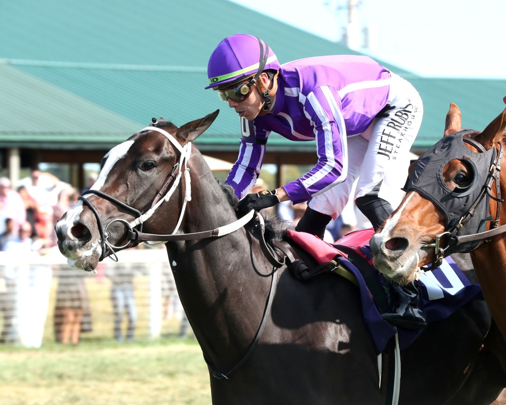 Kentucky Derby Starter Tiztastic Returns To Turf In American Derby