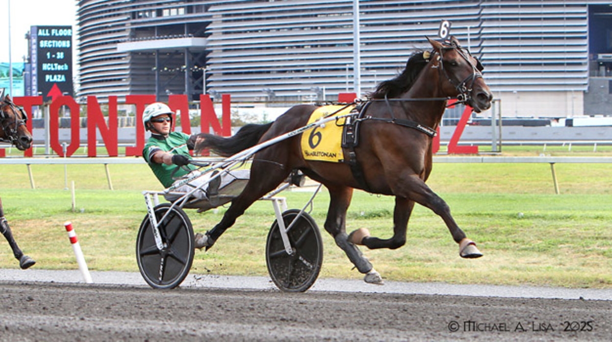 'Tough And Fast': Nordic Catcher S Wins 100th Hambletonian