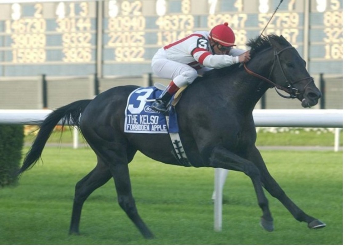 'Teacher,' 'Companion': Grade 1 Winner Forbidden Apple Dies At 30