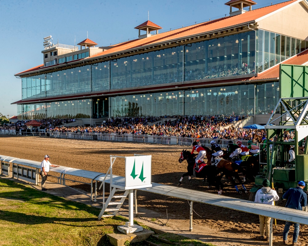 ‘Left With No Choice': Churchill Downs Inc. Moves To Relinquish Fair Grounds License In Louisiana