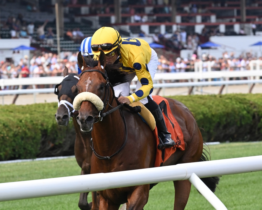 Far Bridge Works Toward Sword Dancer Defense