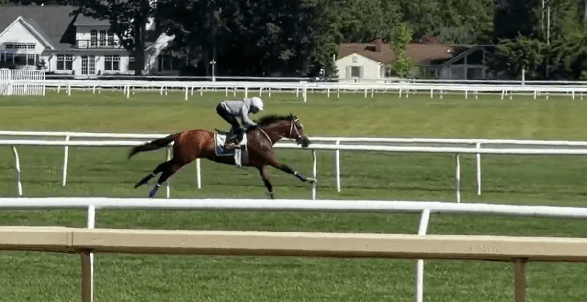 ‘Contemplating Options': Mystik Dan Possible For Turf Debut After Saratoga Work