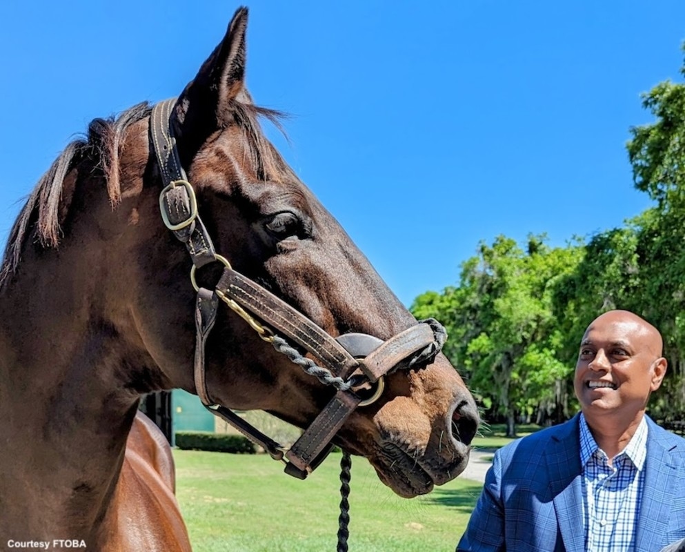 Alessandroni: Congrats Was More Than Just A 'Useful' Sire